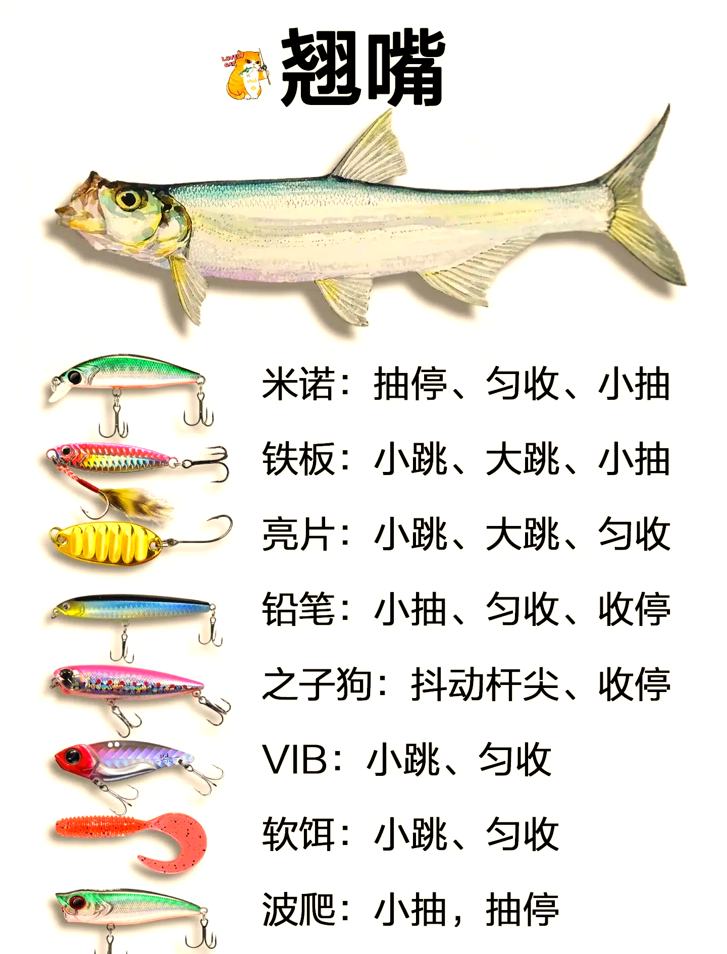 不同饵料漂相(鱼饵和漂的距离) 不同饵料漂相(鱼饵和漂的距离)