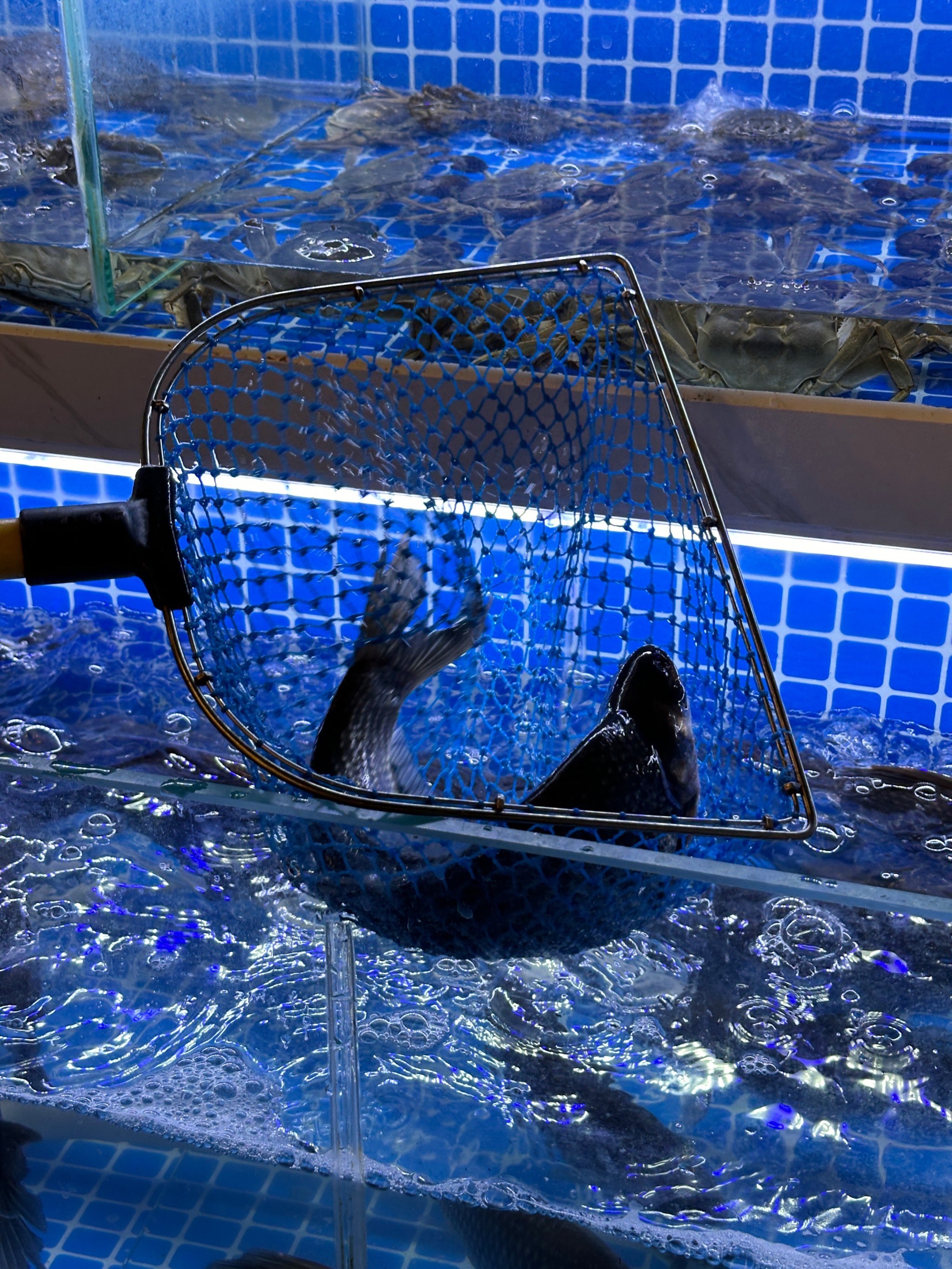 深圳体育中心渔具(深圳体育中心有什么好玩的) 深圳体育中心渔具(深圳体育中心有什么好玩的)