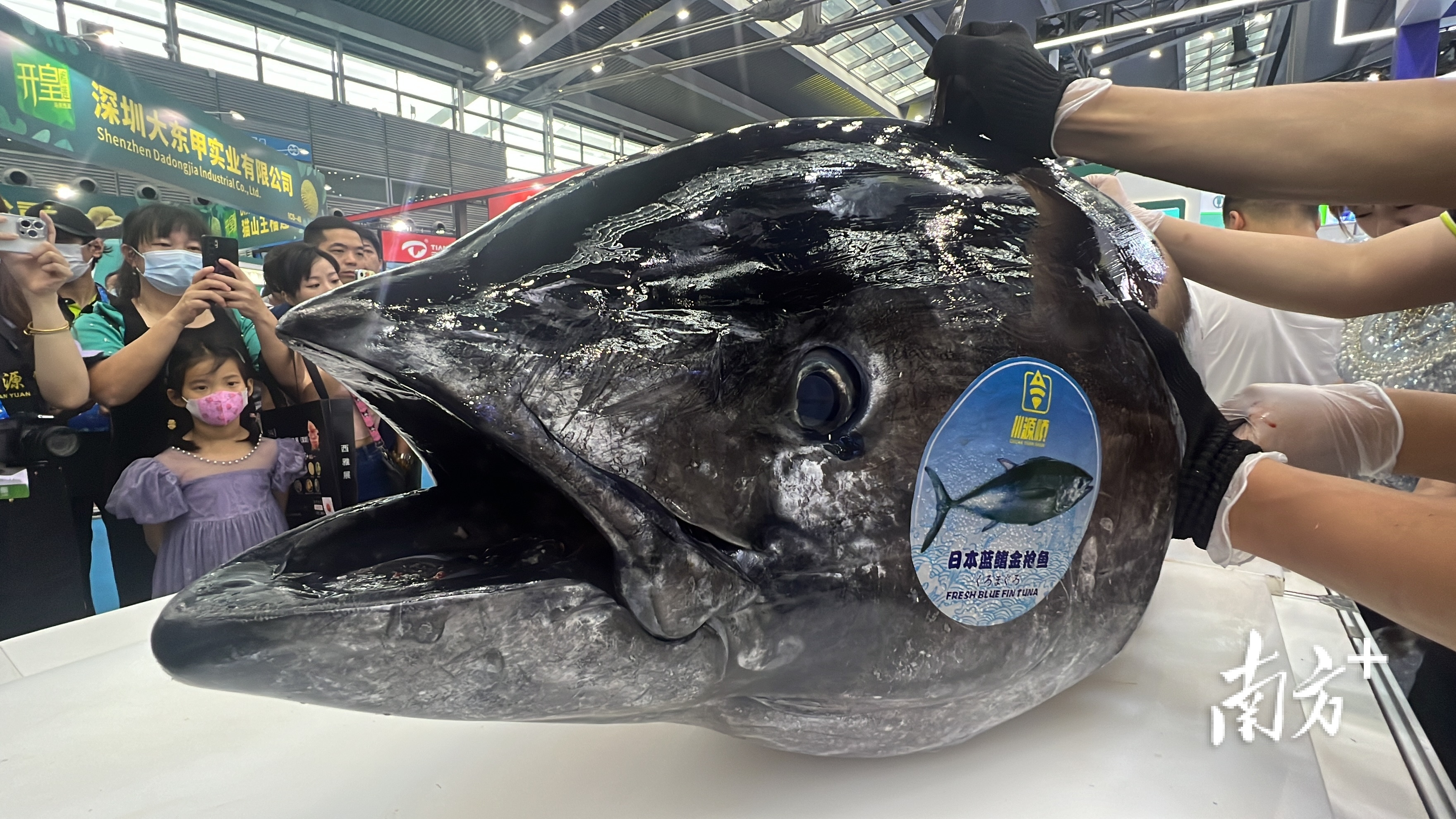 深圳体育中心渔具(深圳体育中心有什么好玩的) 深圳体育中心渔具(深圳体育中心有什么好玩的)