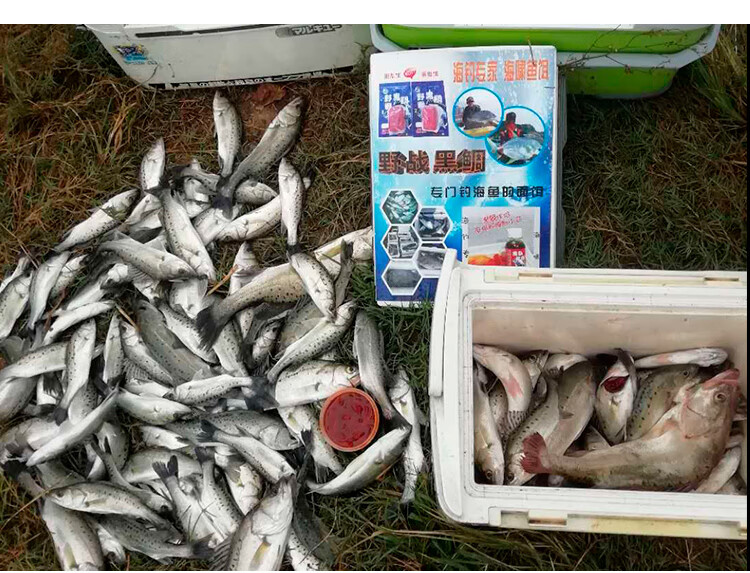 海钓乌头饵(乌头钓饵配方) 海钓乌头饵(乌头钓饵配方)