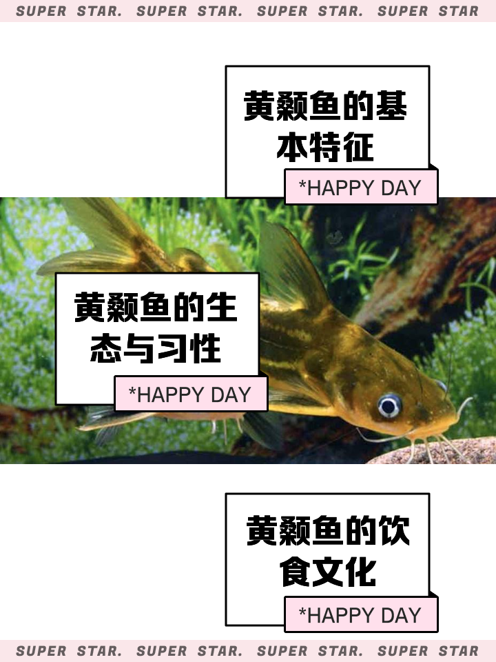 野河钓黄颡鱼技巧饵料(如何垂钓黄颡鱼) 野河钓黄颡鱼技巧饵料(如何垂钓黄颡鱼)