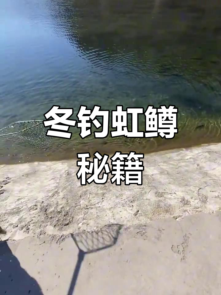 如何路亚虹鳟(路亚虹鳟鱼技巧) 如何路亚虹鳟(路亚虹鳟鱼技巧)