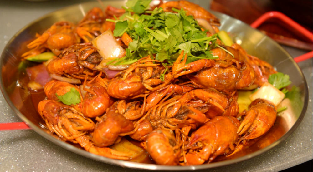 海钓挂虾尾(海钓挂虾的正确方法) 海钓挂虾尾(海钓挂虾的正确方法)