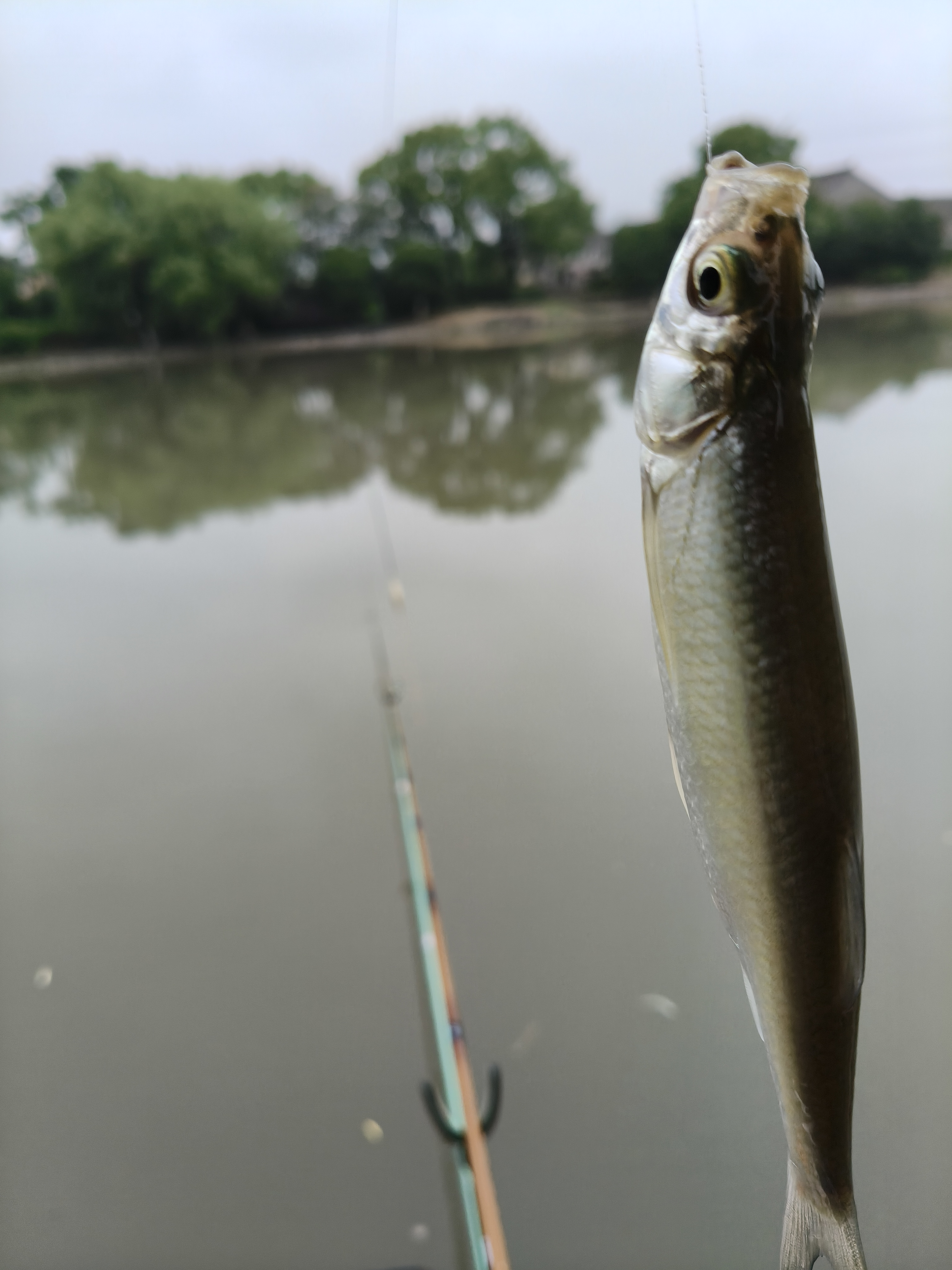 张家岩水库可以路亚吗(中国十大人工水库排名) 张家岩水库可以路亚吗(中国十大人工水库排名)