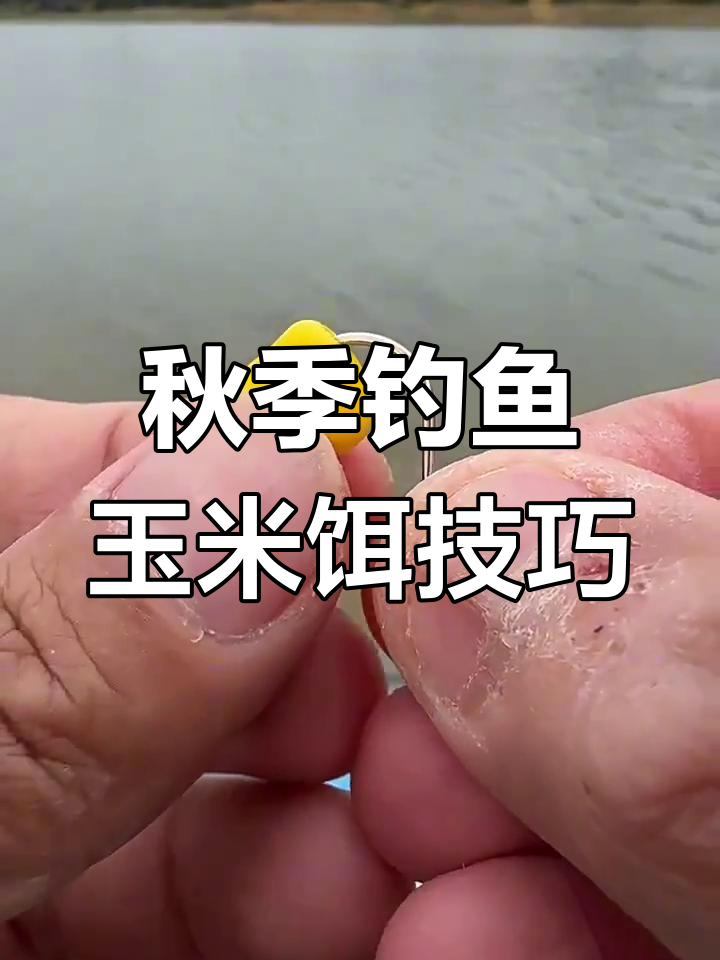 钓鱼开饵料技巧视频(钓鱼如何开饵,饵料搭配的基本技巧!) 钓鱼开饵料技巧视频(钓鱼如何开饵,饵料搭配的基本技巧!)