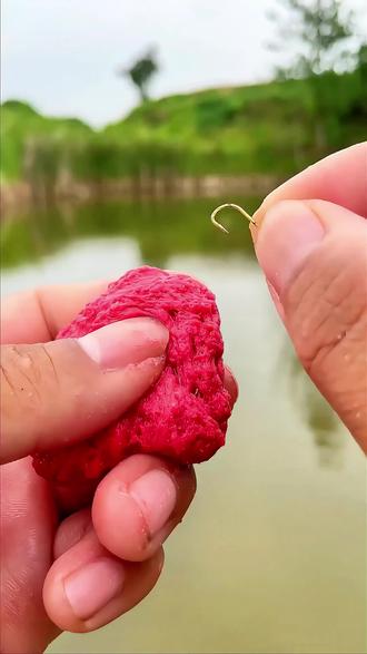 自制石斑饵料(自制石斑饵料怎么配) 自制石斑饵料(自制石斑饵料怎么配)