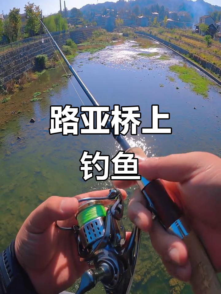 路亚钓底(路亚钓底线组) 路亚钓底(路亚钓底线组)