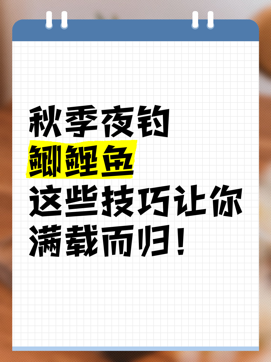 晚上野钓的技巧(夜间野钓技巧) 晚上野钓的技巧(夜间野钓技巧)