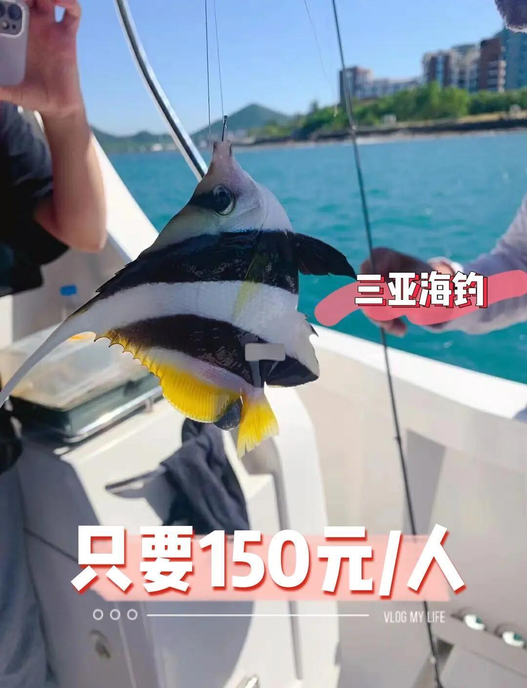 三亚免费海钓(三亚海边免费钓鱼的地方) 三亚免费海钓(三亚海边免费钓鱼的地方)