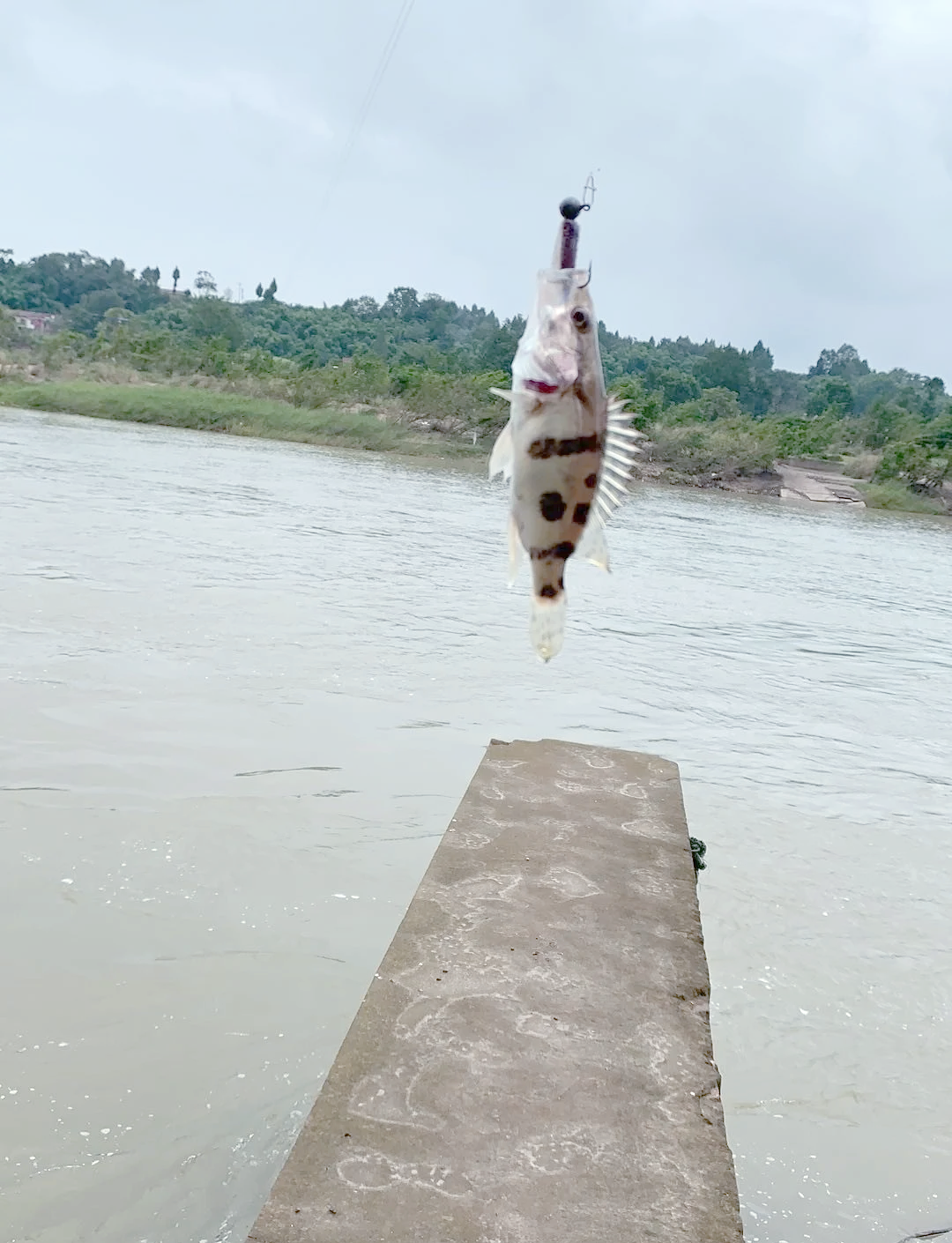 路亚不切线(路亚不剪线) 路亚不切线(路亚不剪线)