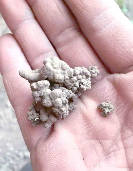 飞花饵料垃圾(飞花令大全100诗) 飞花饵料垃圾(飞花令大全100诗)