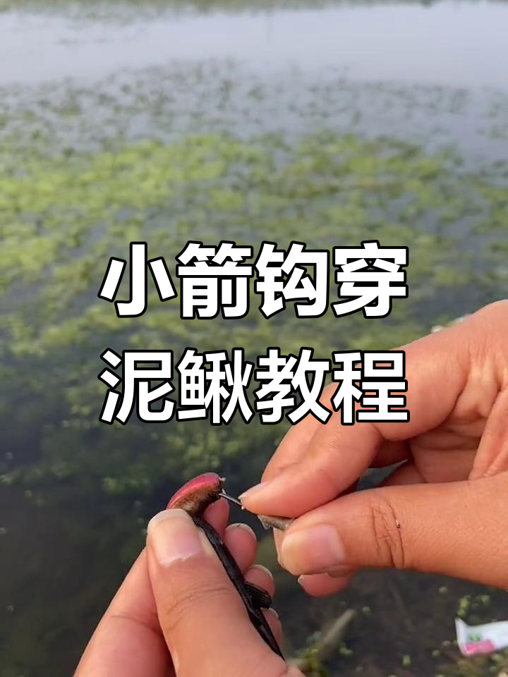 怎么玩路亚钓(路亚怎么玩才能钓到鱼)