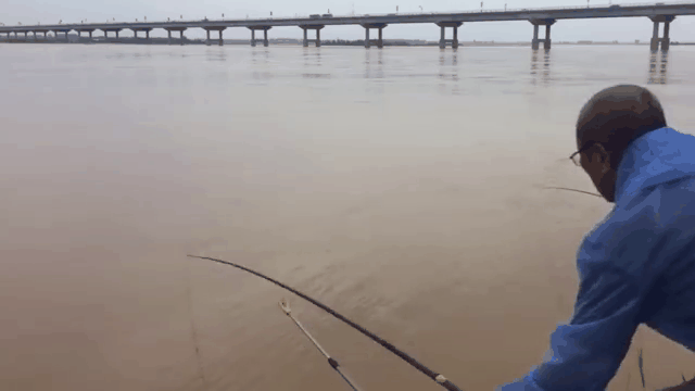 手竿飞鲤鱼技巧视频(鲤鱼飞铅钓法详解)