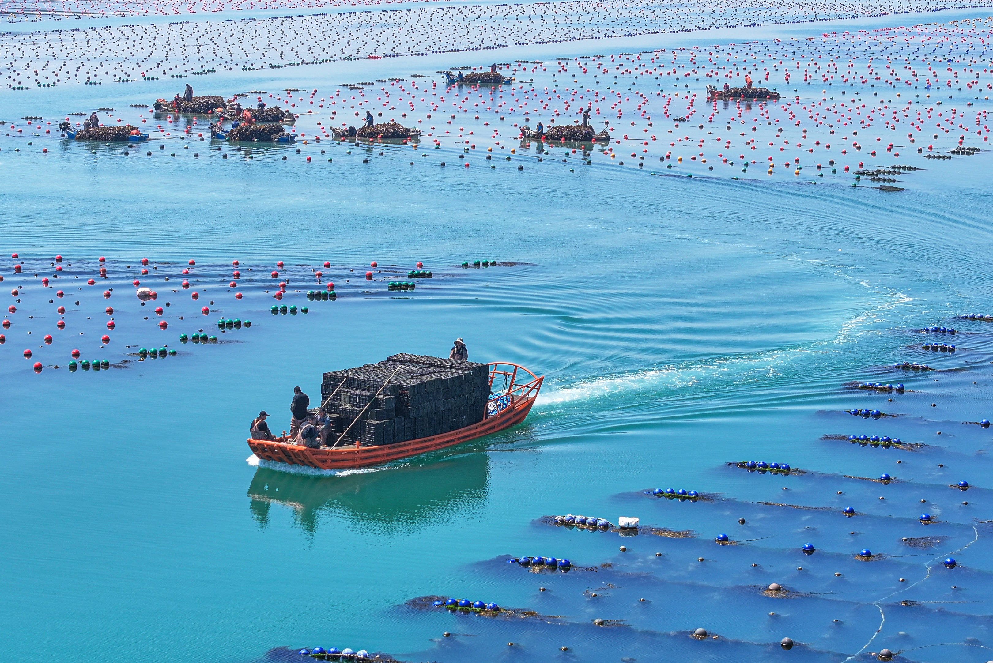 中国最大的渔具厂(中国最大的渔具批发商) 中国最大的渔具厂(中国最大的渔具批发商)