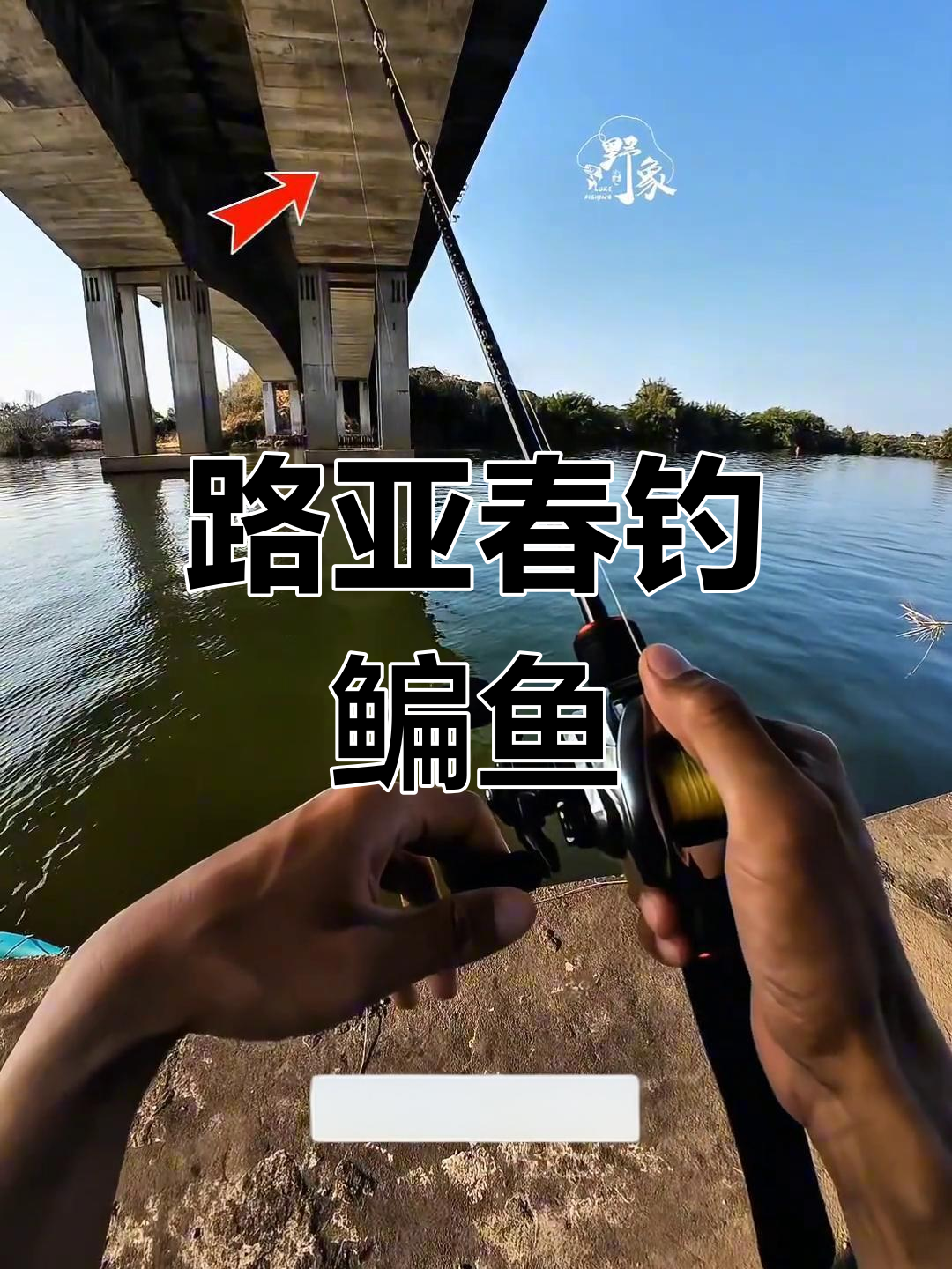 路亚怎么钓鲫鱼(路亚怎么钓鲫鱼教学) 路亚怎么钓鲫鱼(路亚怎么钓鲫鱼教学)