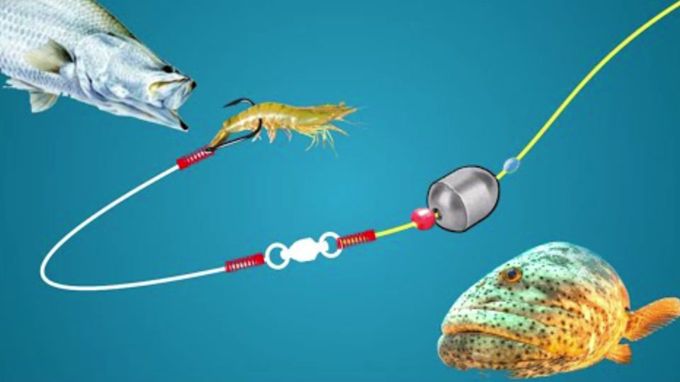 龙口海钓针鱼(龙口钓海鱼的地方?) 龙口海钓针鱼(龙口钓海鱼的地方?)