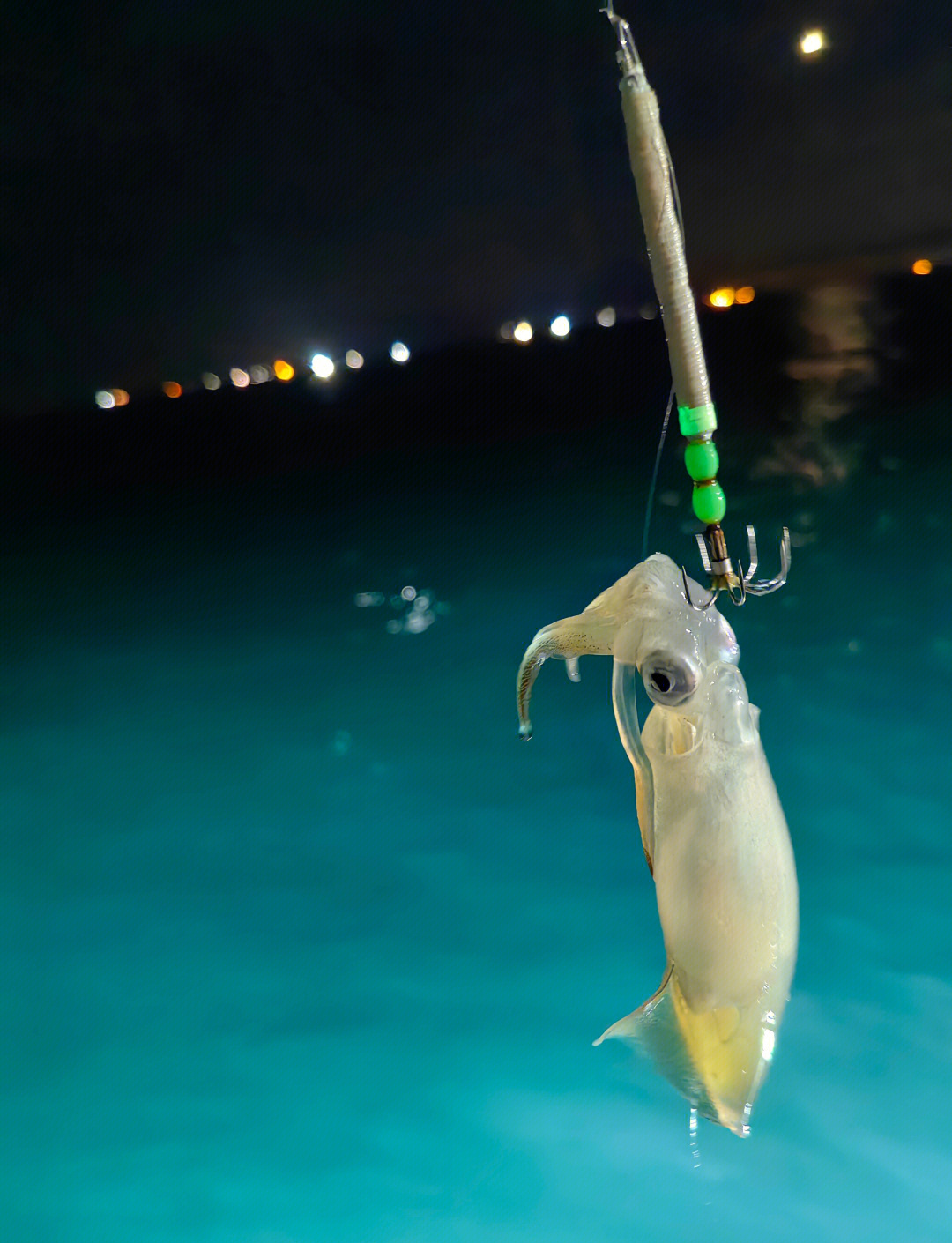 夜里海钓用什么饵(夜间海钓能钓到什么鱼)
