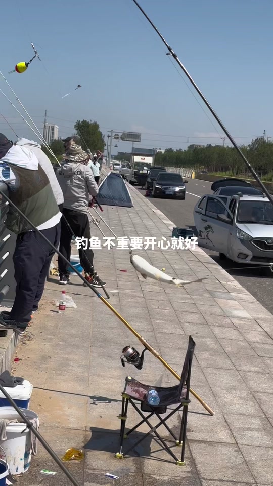 潍坊滨海钓鱼事故(潍坊滨海钓鱼论坛) 潍坊滨海钓鱼事故(潍坊滨海钓鱼论坛)