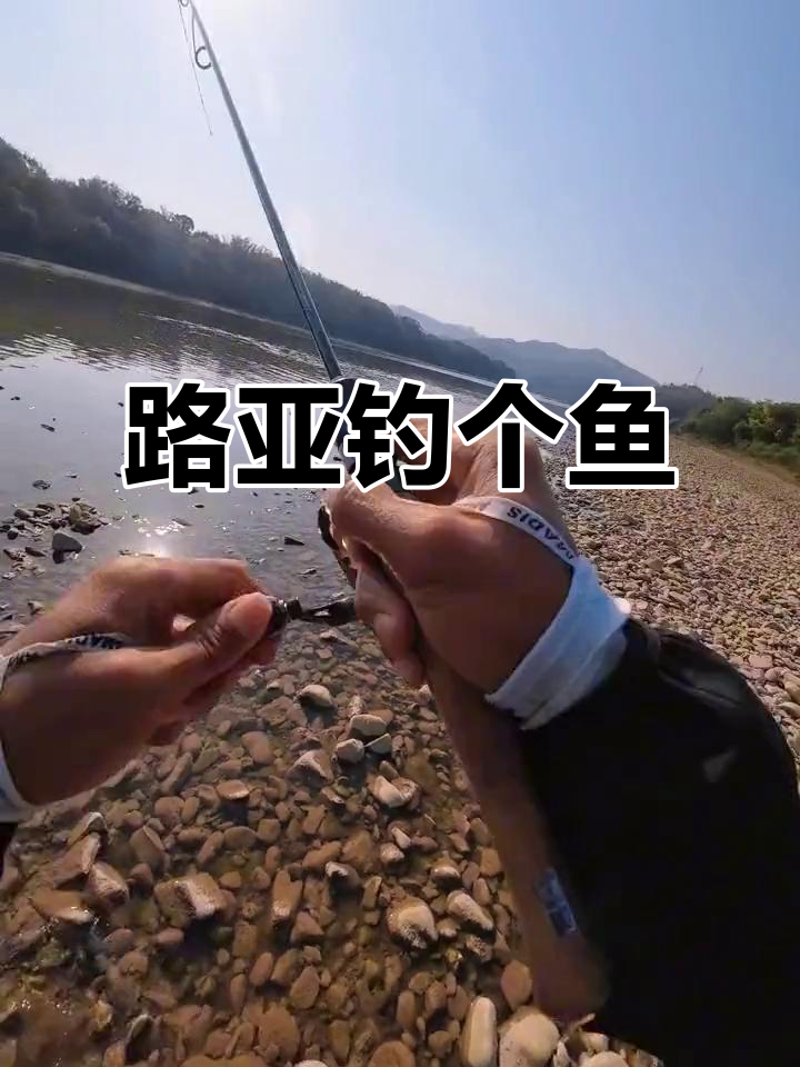 路亚能甩多远(路亚甩不远怎么办) 路亚能甩多远(路亚甩不远怎么办)