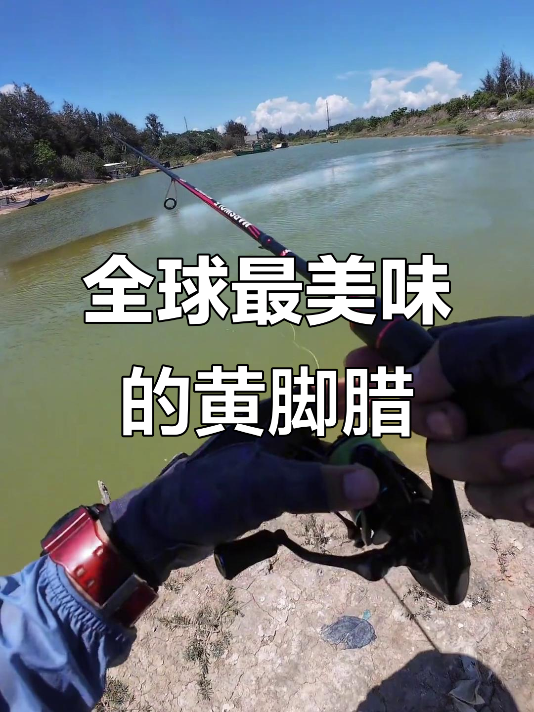 什么饵料钓腊鱼(腊鱼怎么钓用什么浮漂)