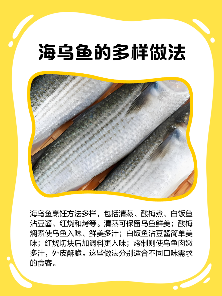 海钓乌鱼怎么钓(如何海钓乌头) 海钓乌鱼怎么钓(如何海钓乌头)