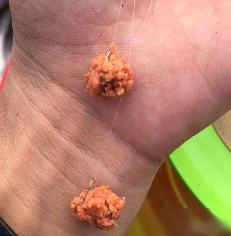 开春钓鲫鱼技巧(开春钓鲫鱼技巧视频) 开春钓鲫鱼技巧(开春钓鲫鱼技巧视频)