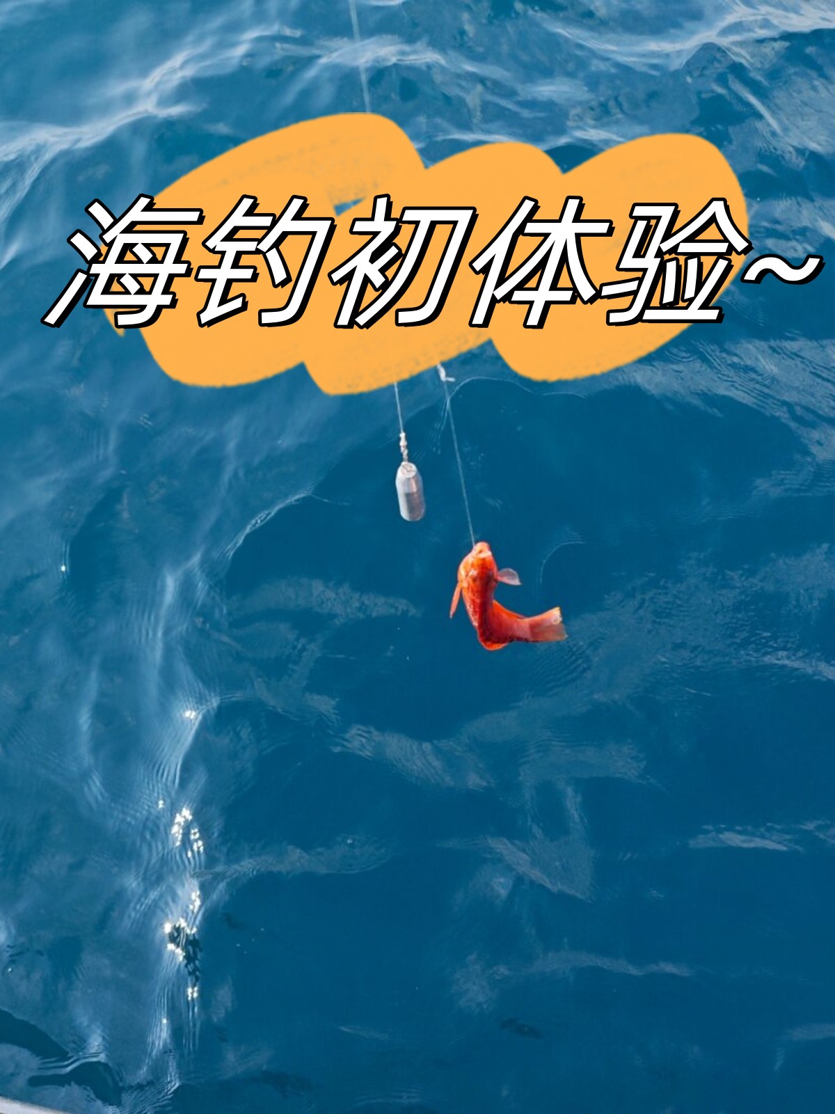 海钓宝贝初体验(海钓教程视频教程) 海钓宝贝初体验(海钓教程视频教程)