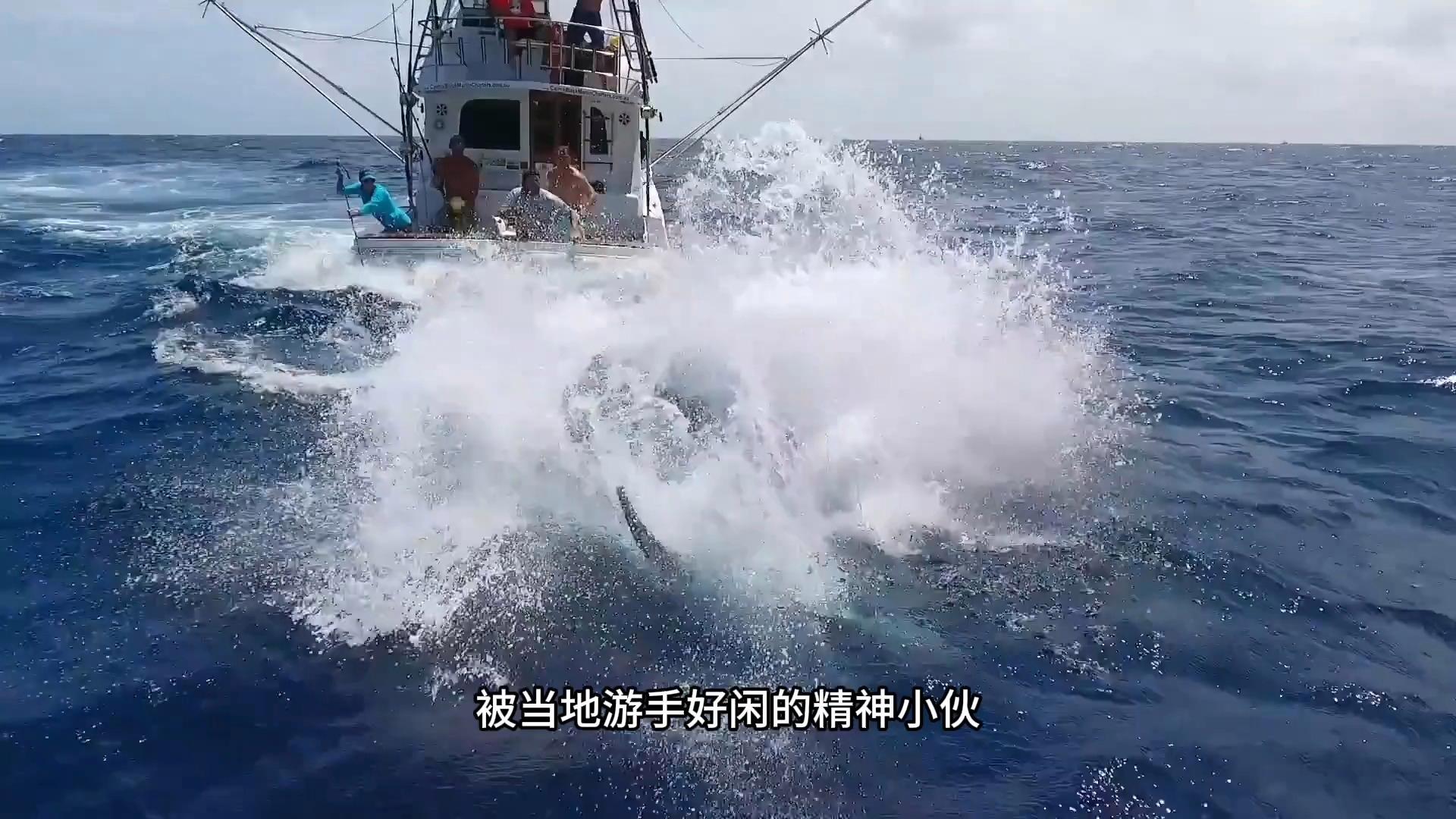 南澳大利亚路亚(南澳大学留学费用) 南澳大利亚路亚(南澳大学留学费用)