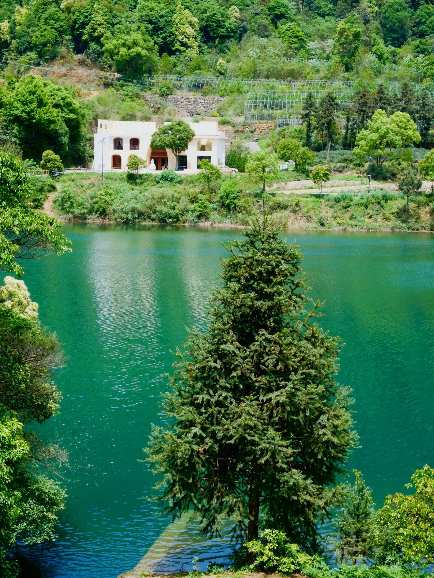 冬季南方水库技巧(南方冬天水库钓鱼钓深还是钓浅) 冬季南方水库技巧(南方冬天水库钓鱼钓深还是钓浅)