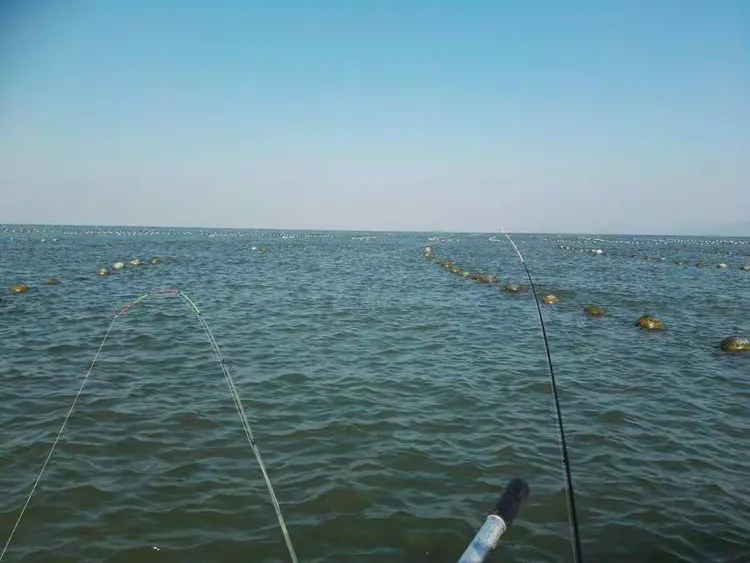 台山海宴海钓场(台山海鲜批发码头市场) 台山海宴海钓场(台山海鲜批发码头市场)