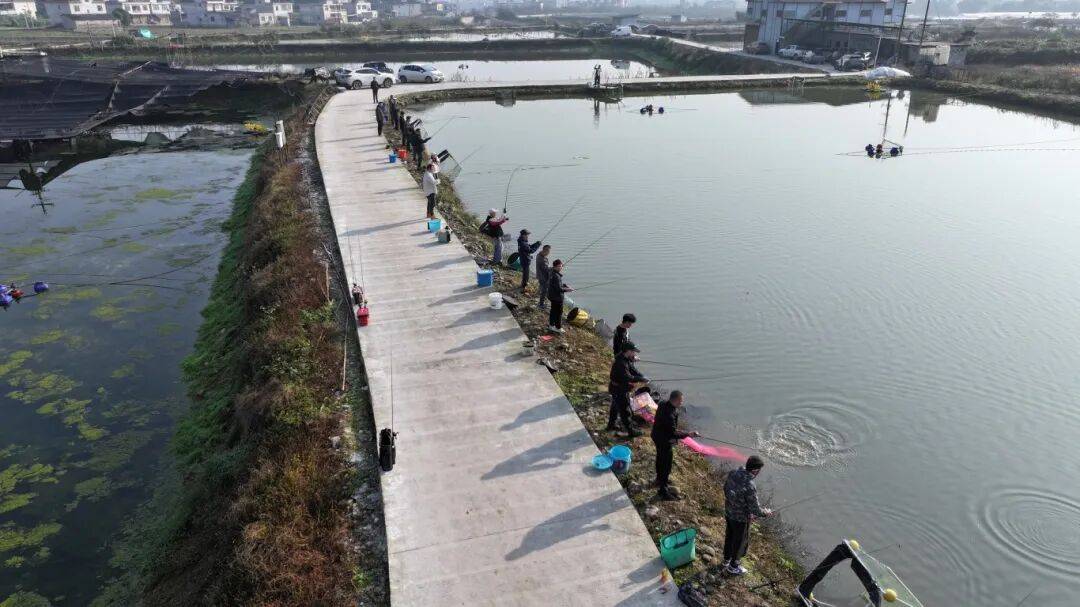 诸暨收费路亚钓场(诸暨招投标交易中心官网) 诸暨收费路亚钓场(诸暨招投标交易中心官网)