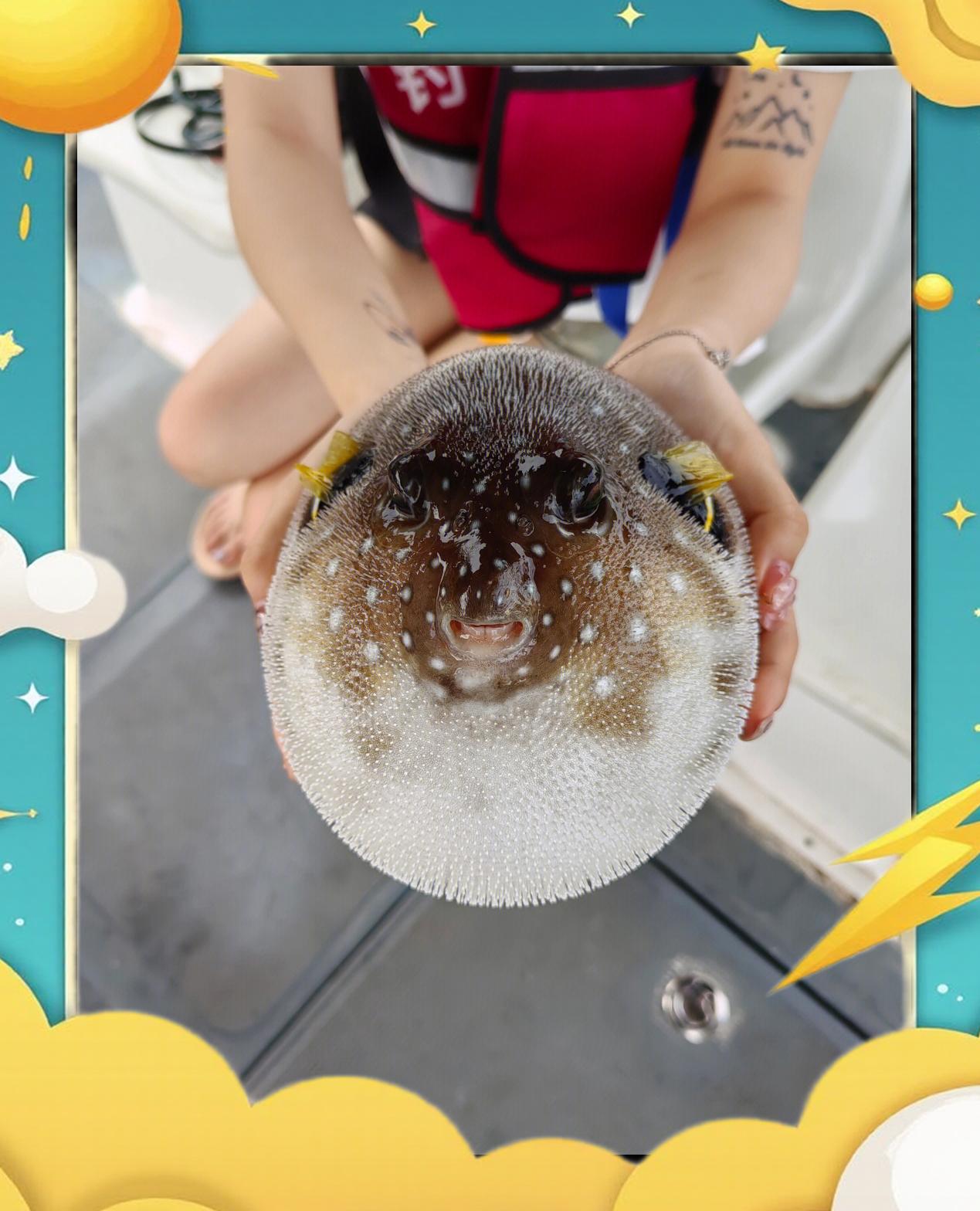 怎样防止海钓晕船(怎样防止海钓晕船呢) 怎样防止海钓晕船(怎样防止海钓晕船呢)