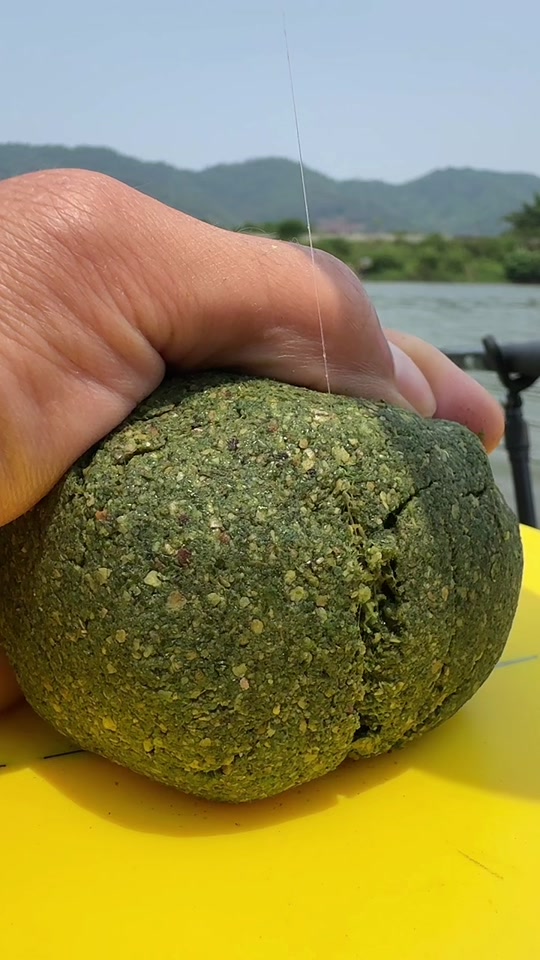 海藻饵料(海藻粉诱鱼) 海藻饵料(海藻粉诱鱼)