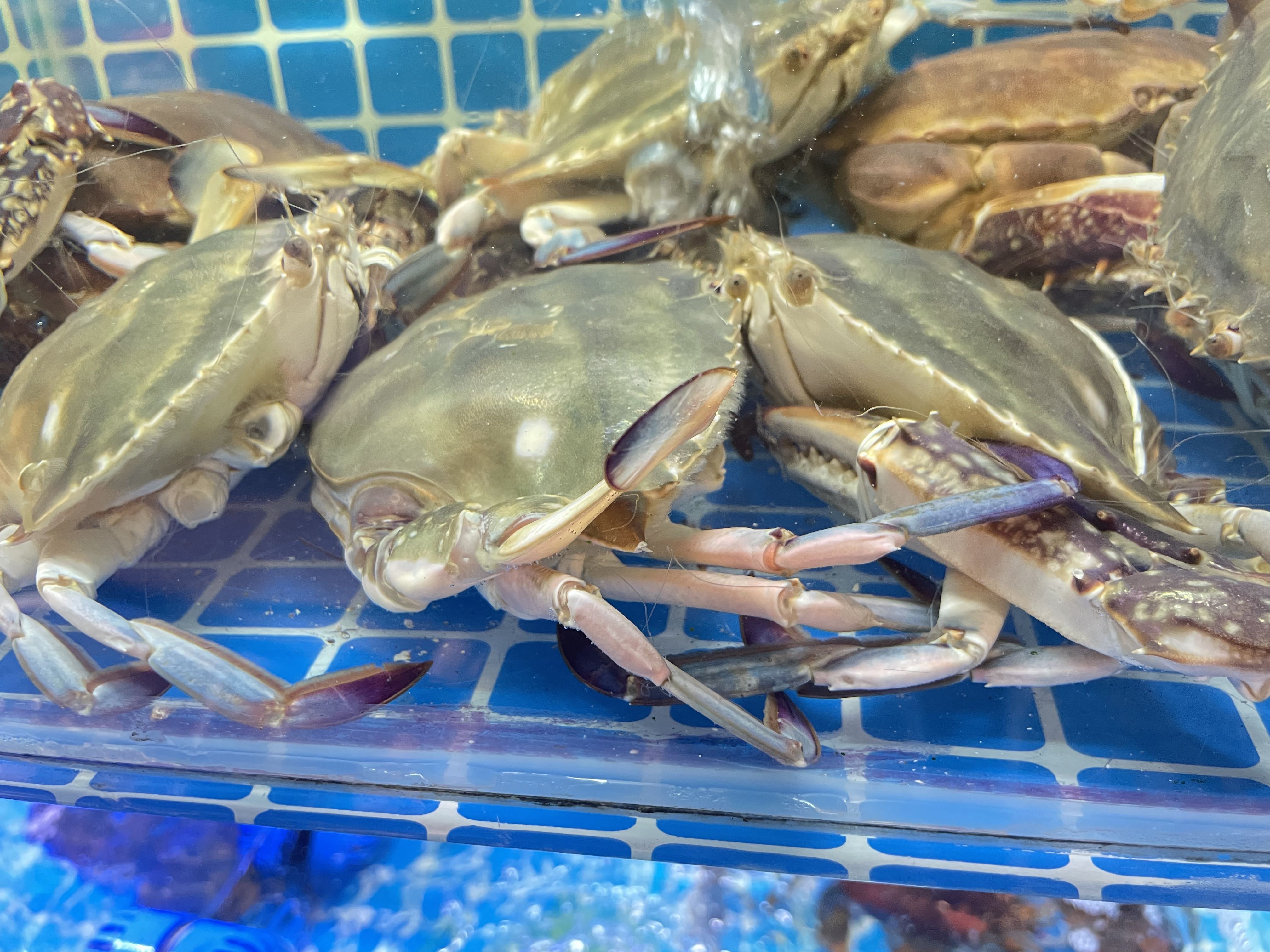 盐城海钓的地方(盐城钓点分享) 盐城海钓的地方(盐城钓点分享)