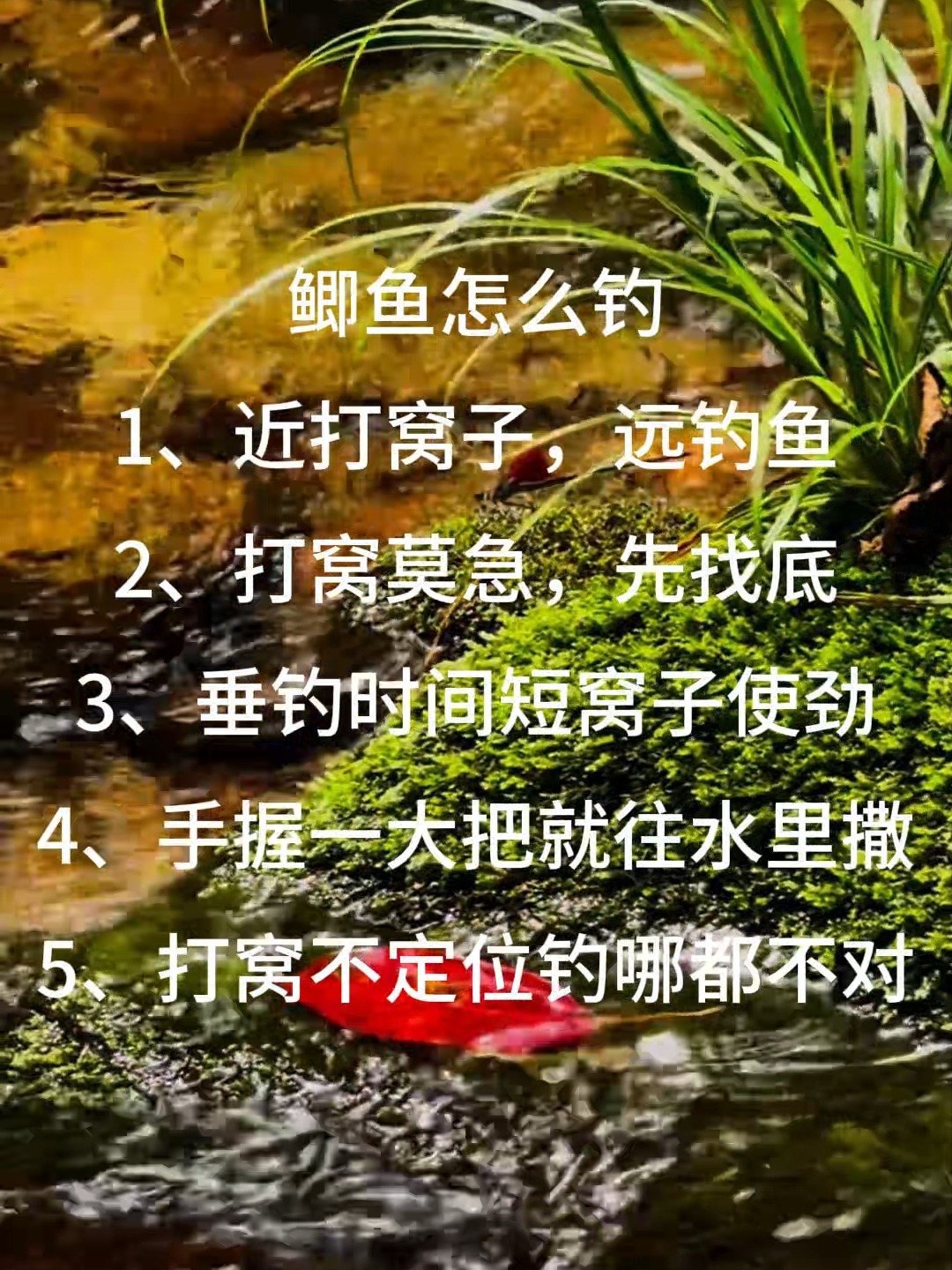 春季夜钓鲫鱼技巧(春季夜钓鲫鱼技巧视频) 春季夜钓鲫鱼技巧(春季夜钓鲫鱼技巧视频)