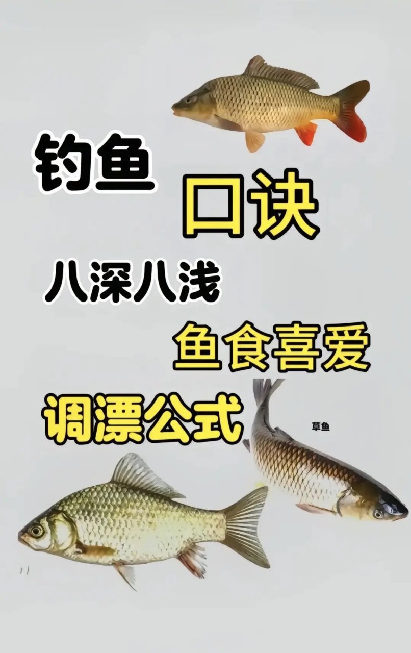 春季夜钓鲫鱼技巧(春季夜钓鲫鱼技巧视频) 春季夜钓鲫鱼技巧(春季夜钓鲫鱼技巧视频)