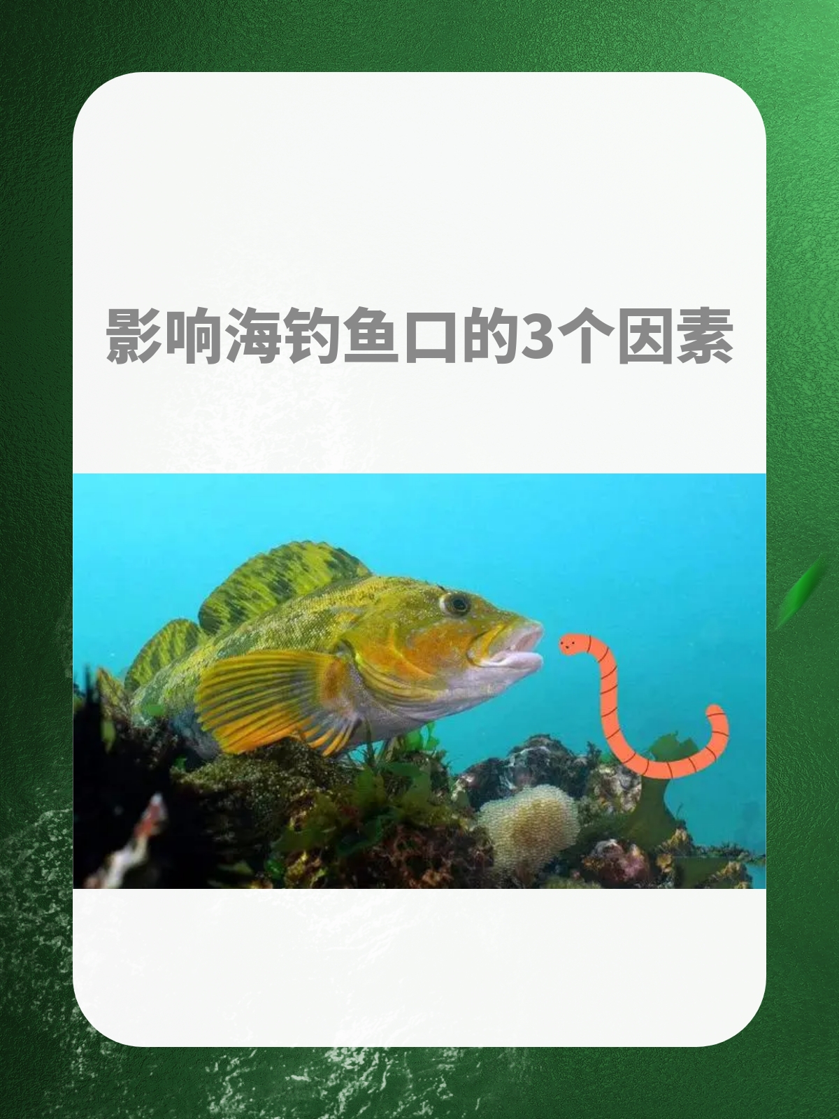 海钓怎么看中鱼(海钓怎么判断中鱼) 海钓怎么看中鱼(海钓怎么判断中鱼)