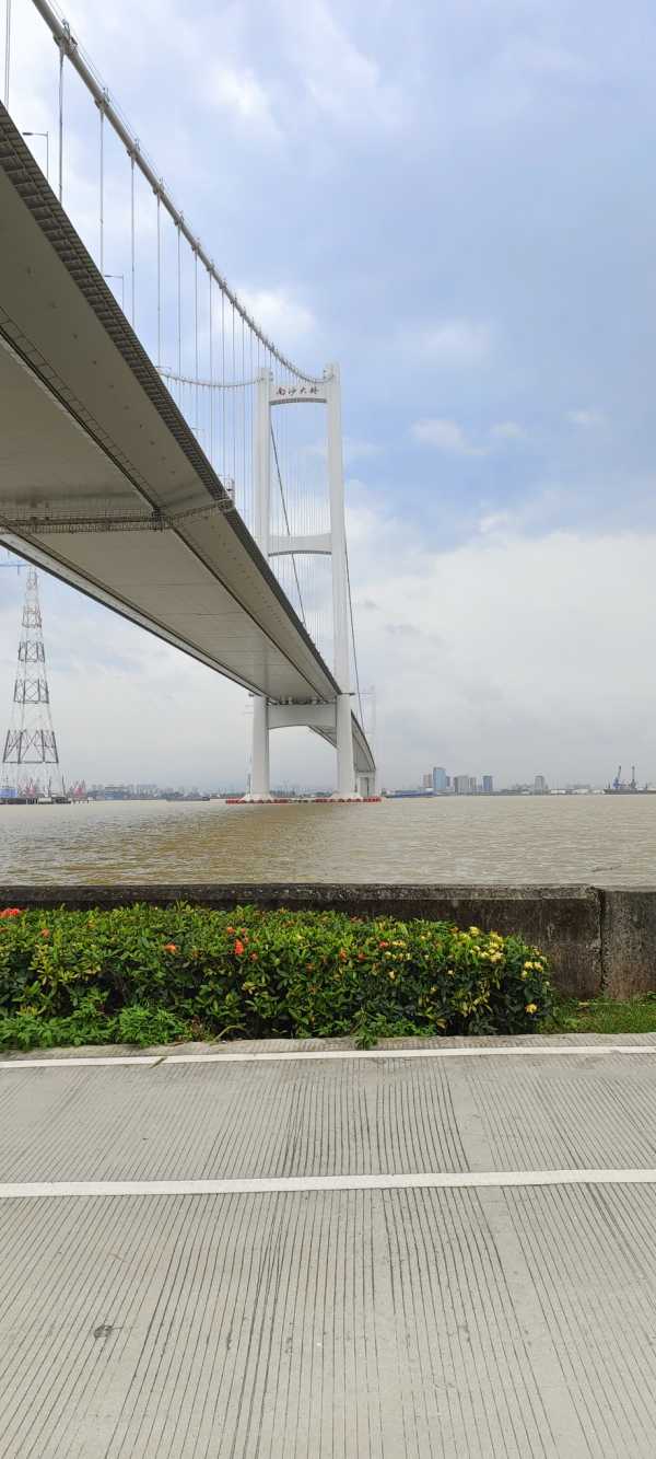 海鸥岛路亚(海鸥为什么要飞回西伯利亚) 海鸥岛路亚(海鸥为什么要飞回西伯利亚)