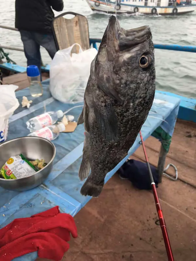 东疆海钓位置(东疆港出海钓鱼) 东疆海钓位置(东疆港出海钓鱼)