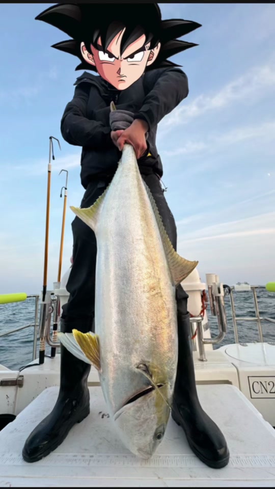 大连海钓黄尖子鱼(大连海钓黄鱼钓组图解)