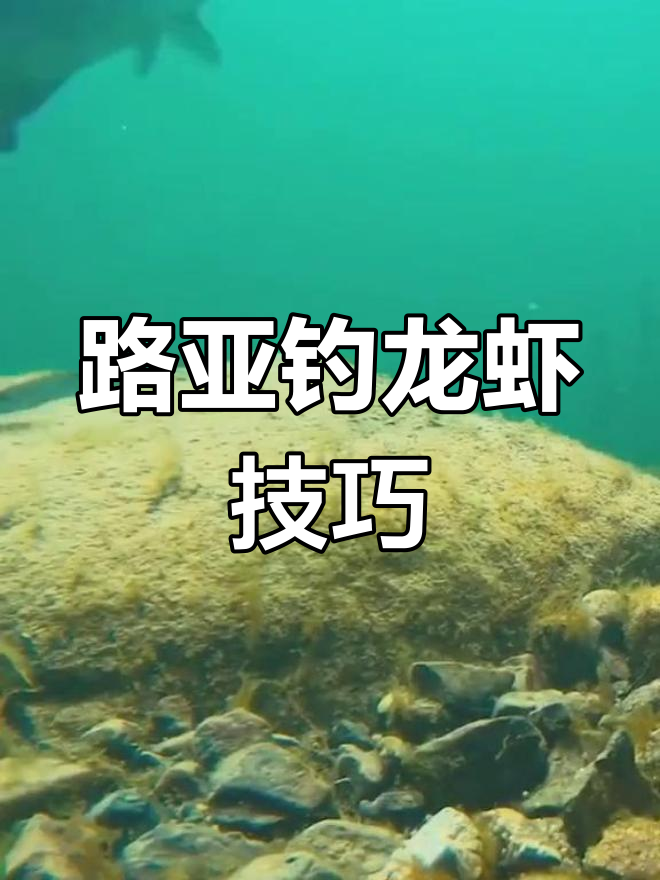 路亚钓鱼跳底技巧(路亚钓鱼跳底技巧视频教程) 路亚钓鱼跳底技巧(路亚钓鱼跳底技巧视频教程)