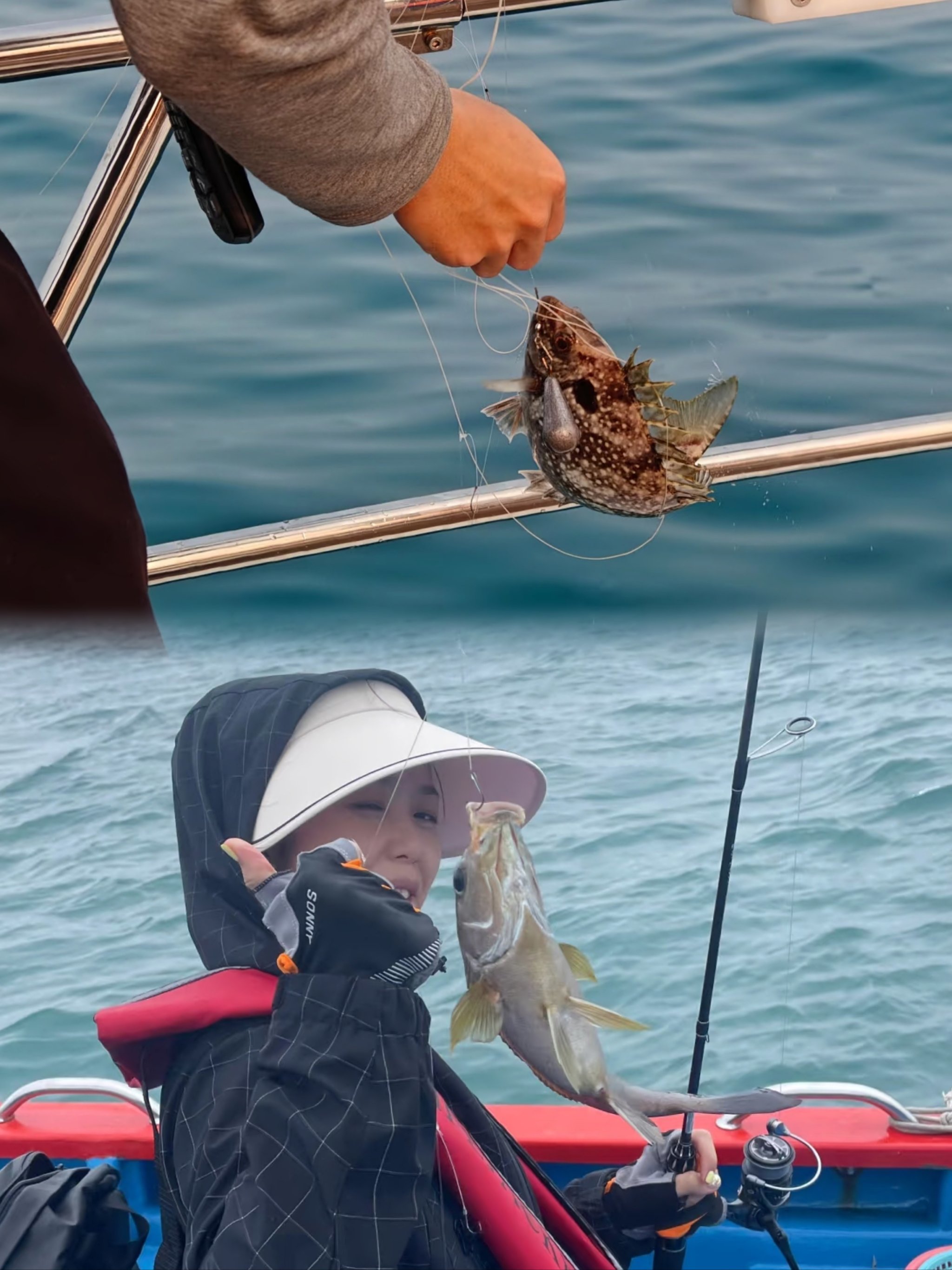 海钓最佳风向(海钓多大风不适合钓鱼了) 海钓最佳风向(海钓多大风不适合钓鱼了)