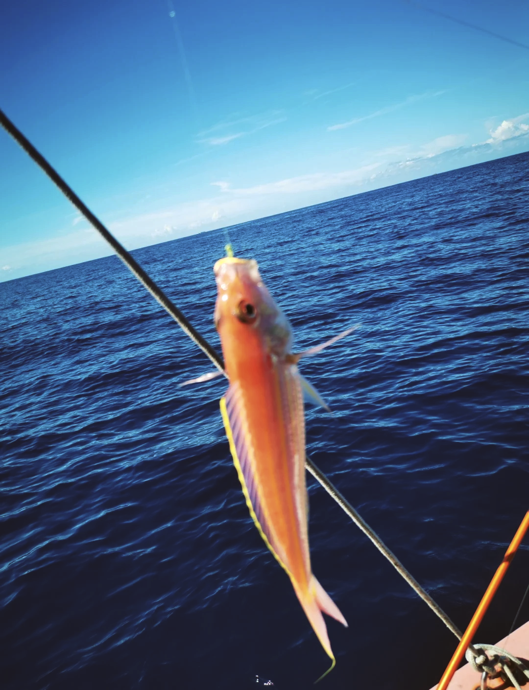 广东惠州大亚湾海钓(惠州大亚湾野钓) 广东惠州大亚湾海钓(惠州大亚湾野钓)