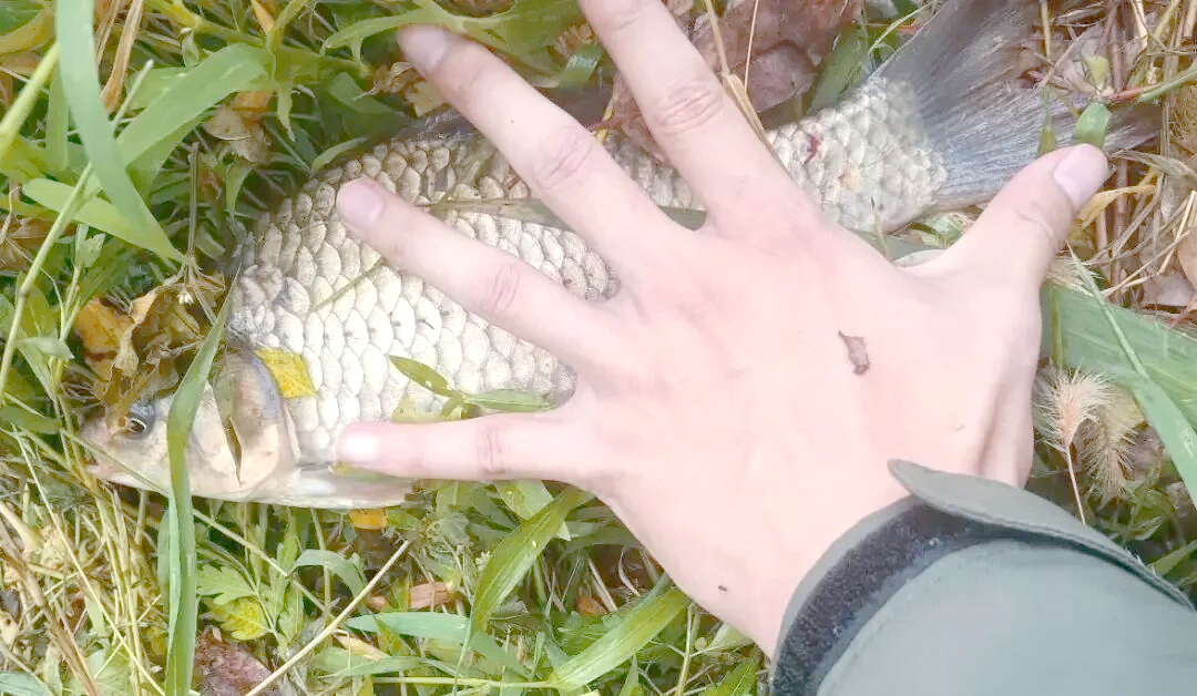 冬钓江边钓鱼技巧视频(男性梅毒表现症状) 冬钓江边钓鱼技巧视频(男性梅毒表现症状)