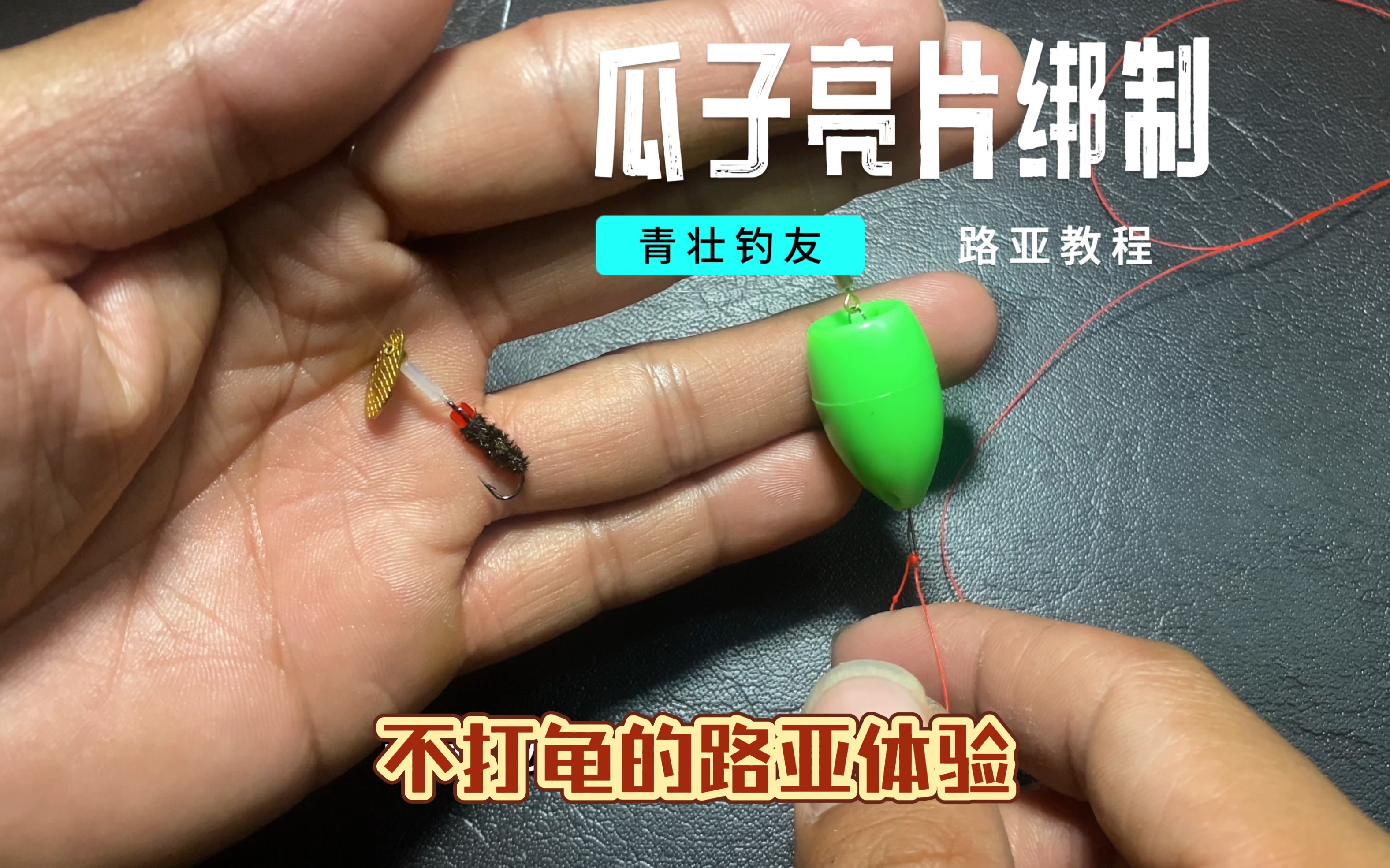 路亚瓜子亮片教程(路亚新手瓜子亮片入门教程)