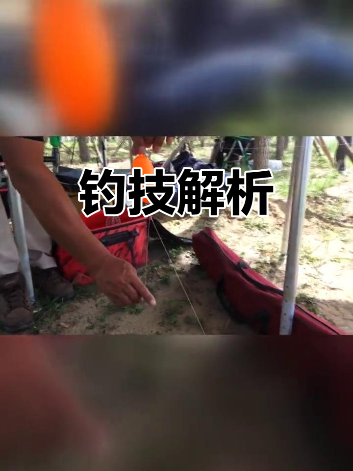 李大毛钓饵料配方(李大毛钓鱼饵料的搭配)