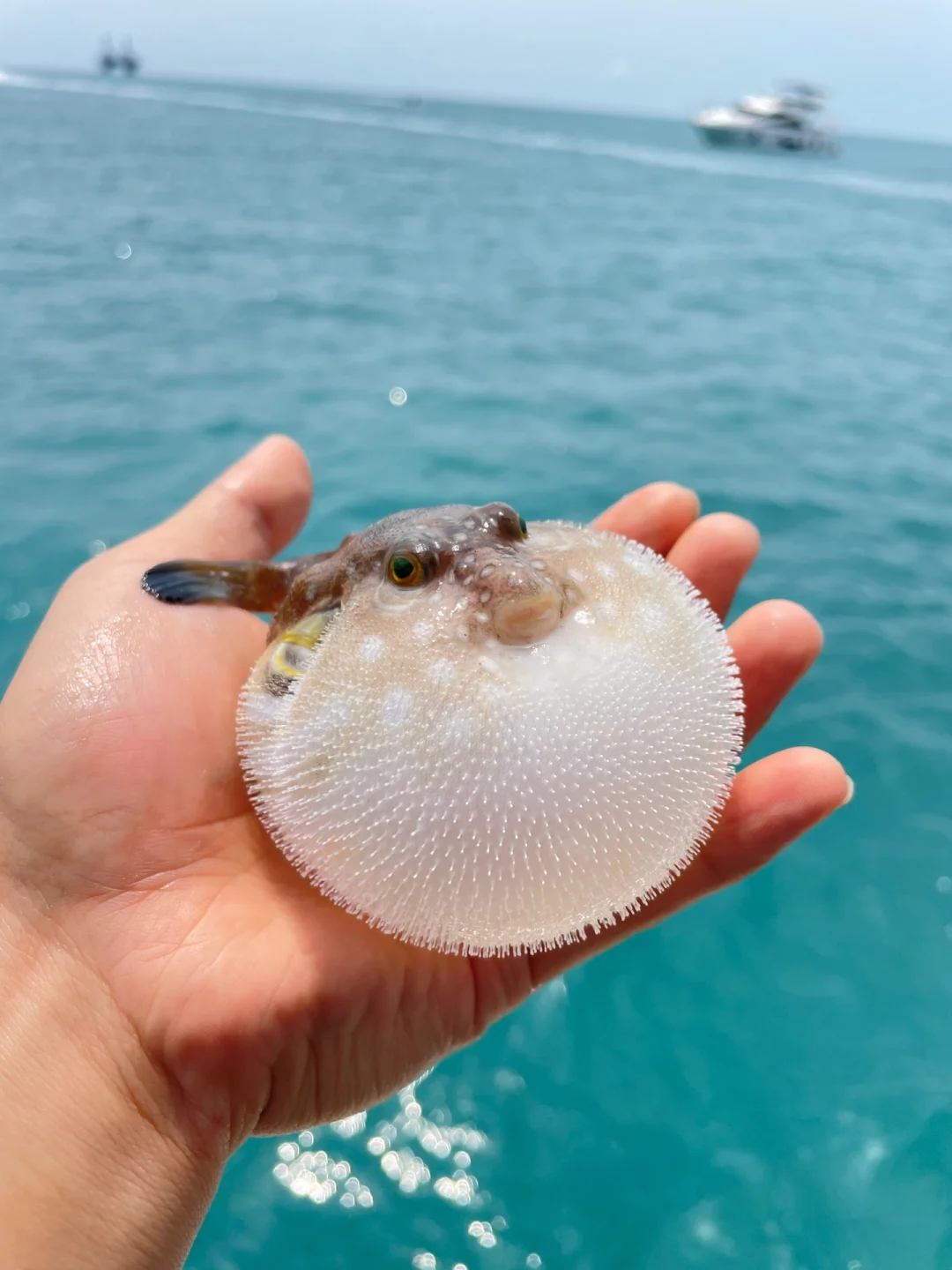 盘锦春天海钓(盘锦钓海鱼的地方)