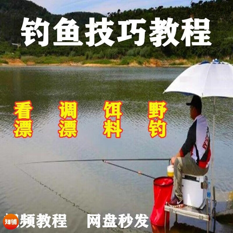 钓鱼入门技巧教学视频(钓鱼入门视频教程)