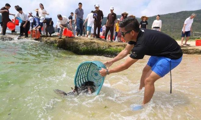 猪内脏可以海钓吗(猪内脏不能吃吗)