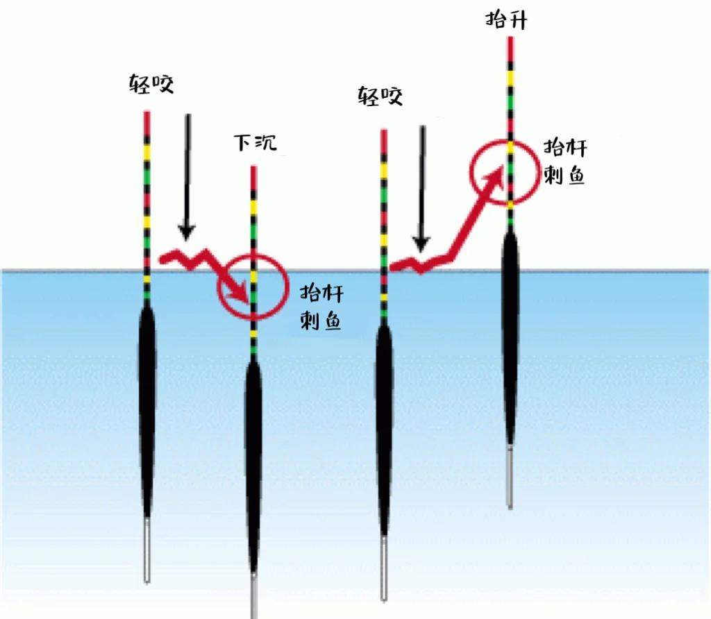 柳州柳江钓鱼技巧(柳州柳江河钓鱼)